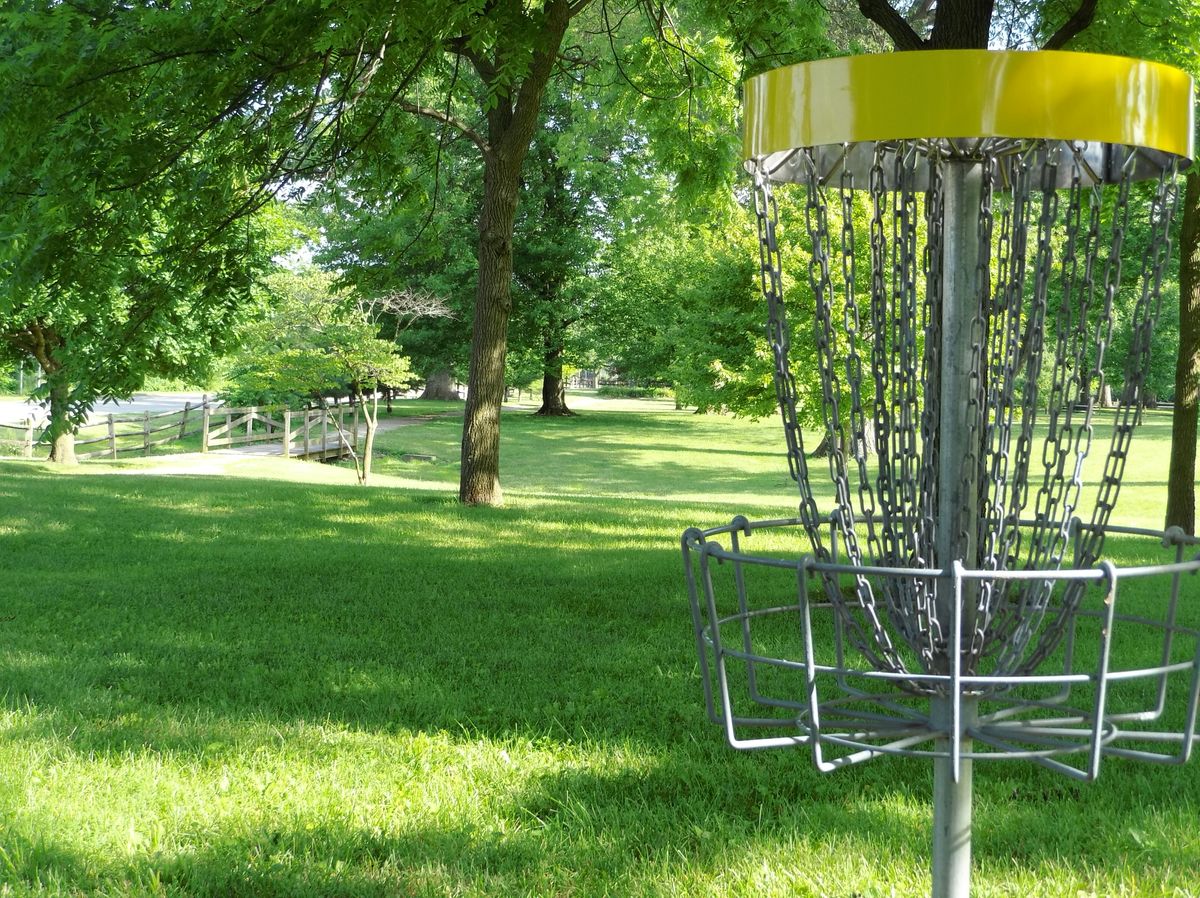 Hole 1 from the basket.