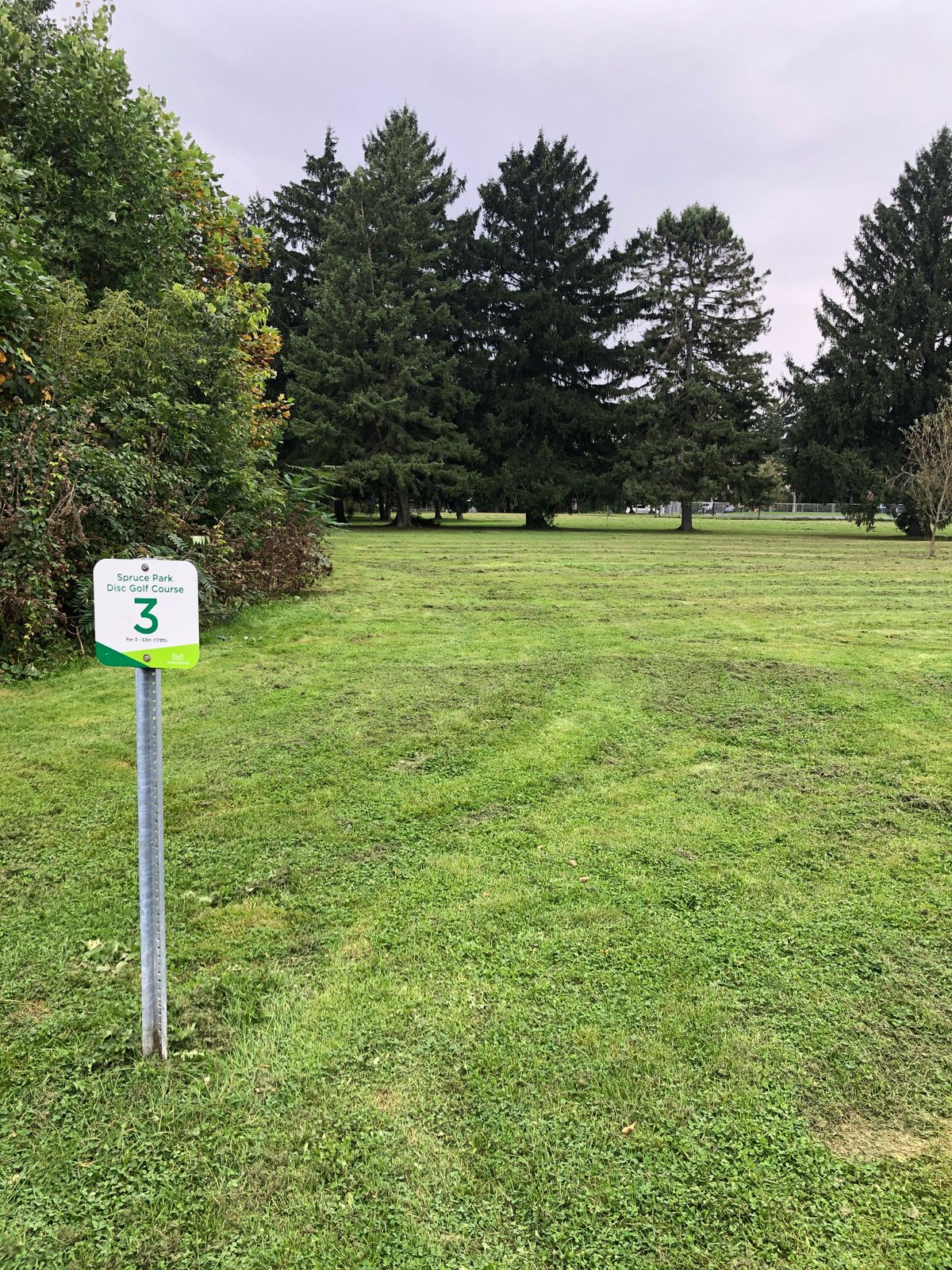 #3 Tee Pad. Lots of bush now on the left side.