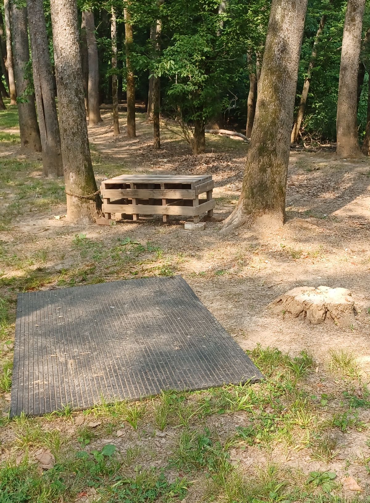 Bench on hole 6