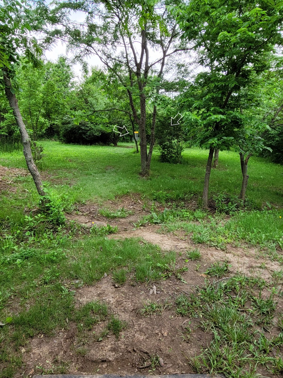 Hole 16 tee