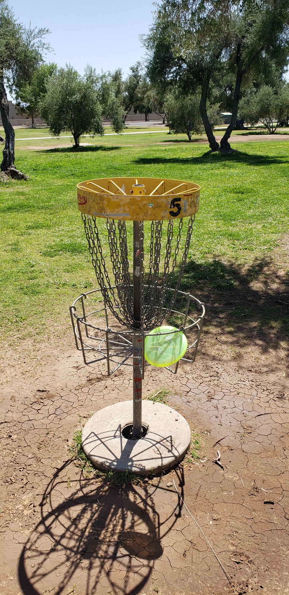 Birdie?