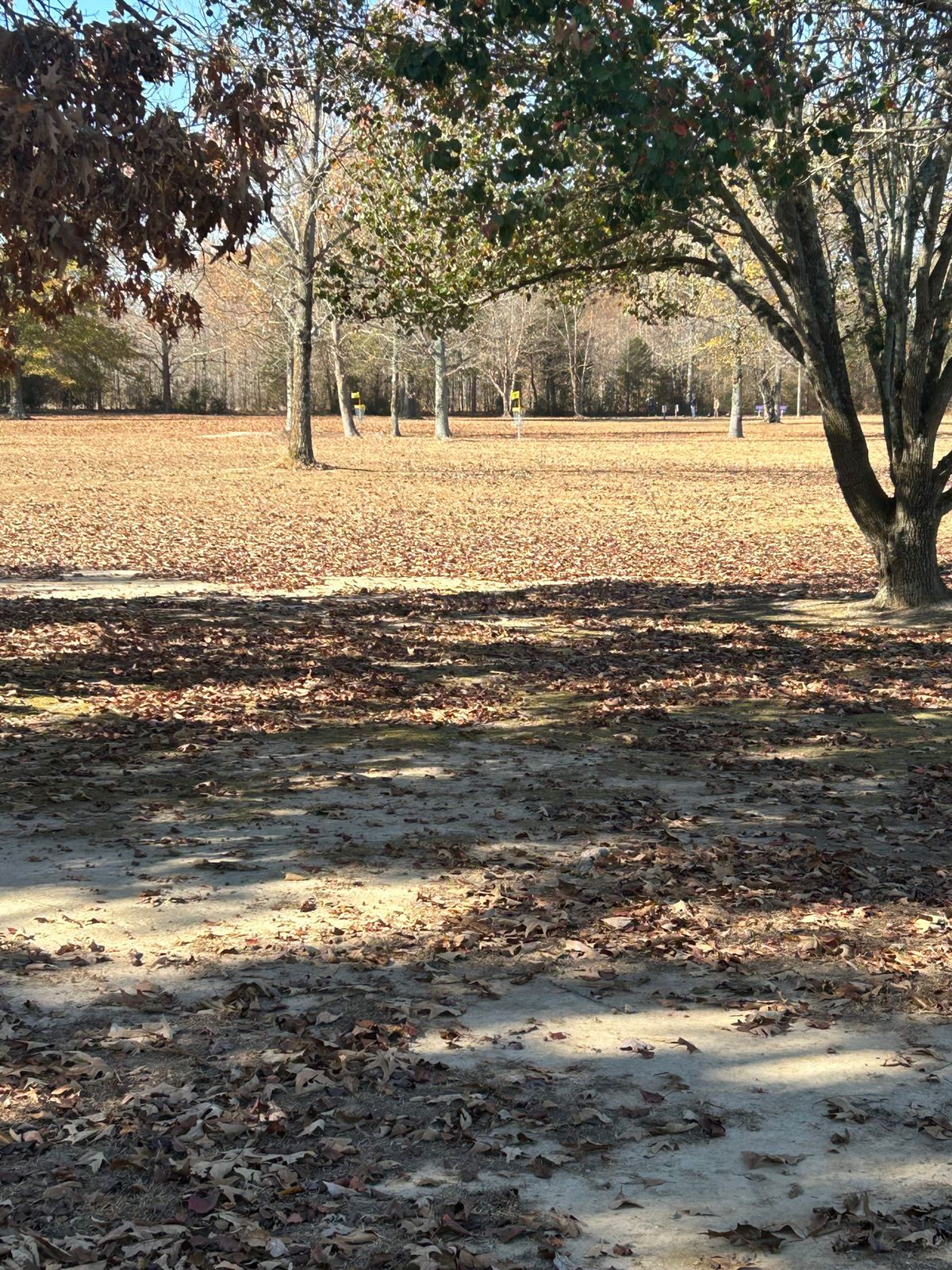 Hole 10 basket