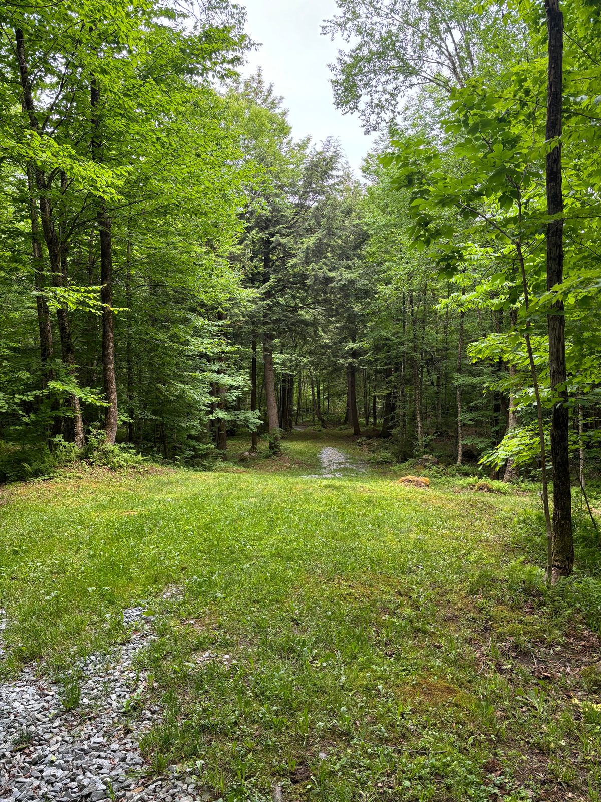 Hole 2 fairway