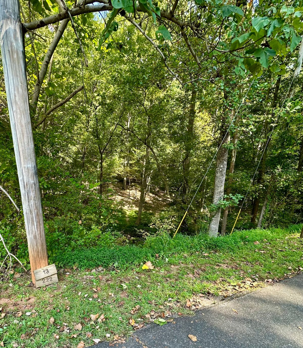 Hole 13