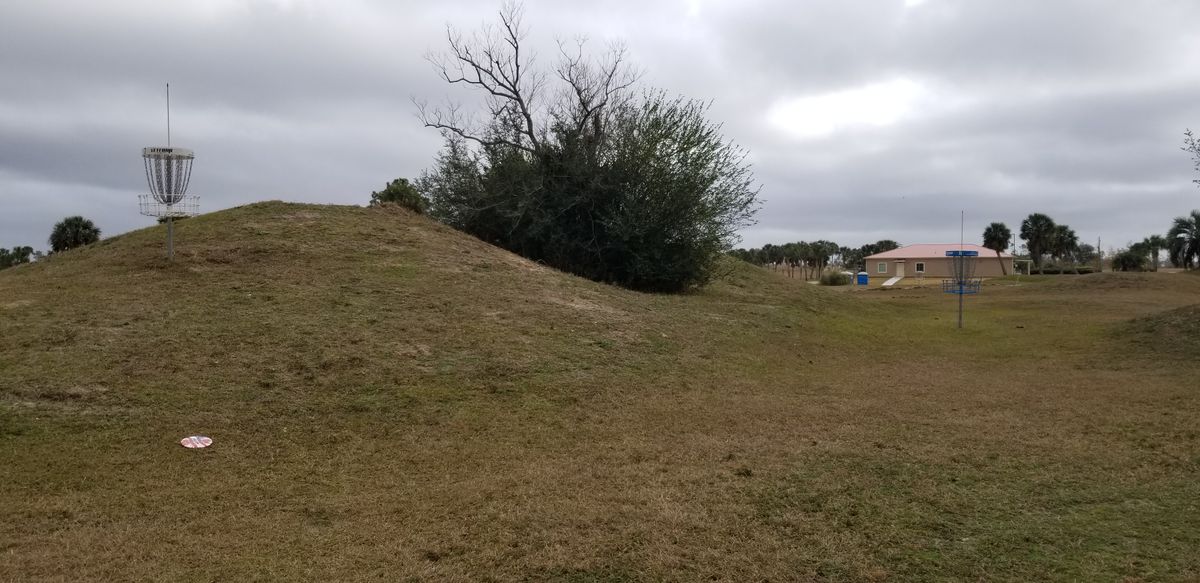 Hole 7 Pins (blue and white)