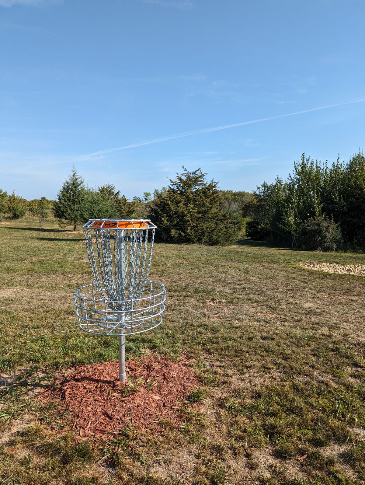 Short Basket looking back at fairway