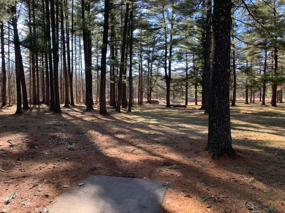 Hole 12 tee (short)