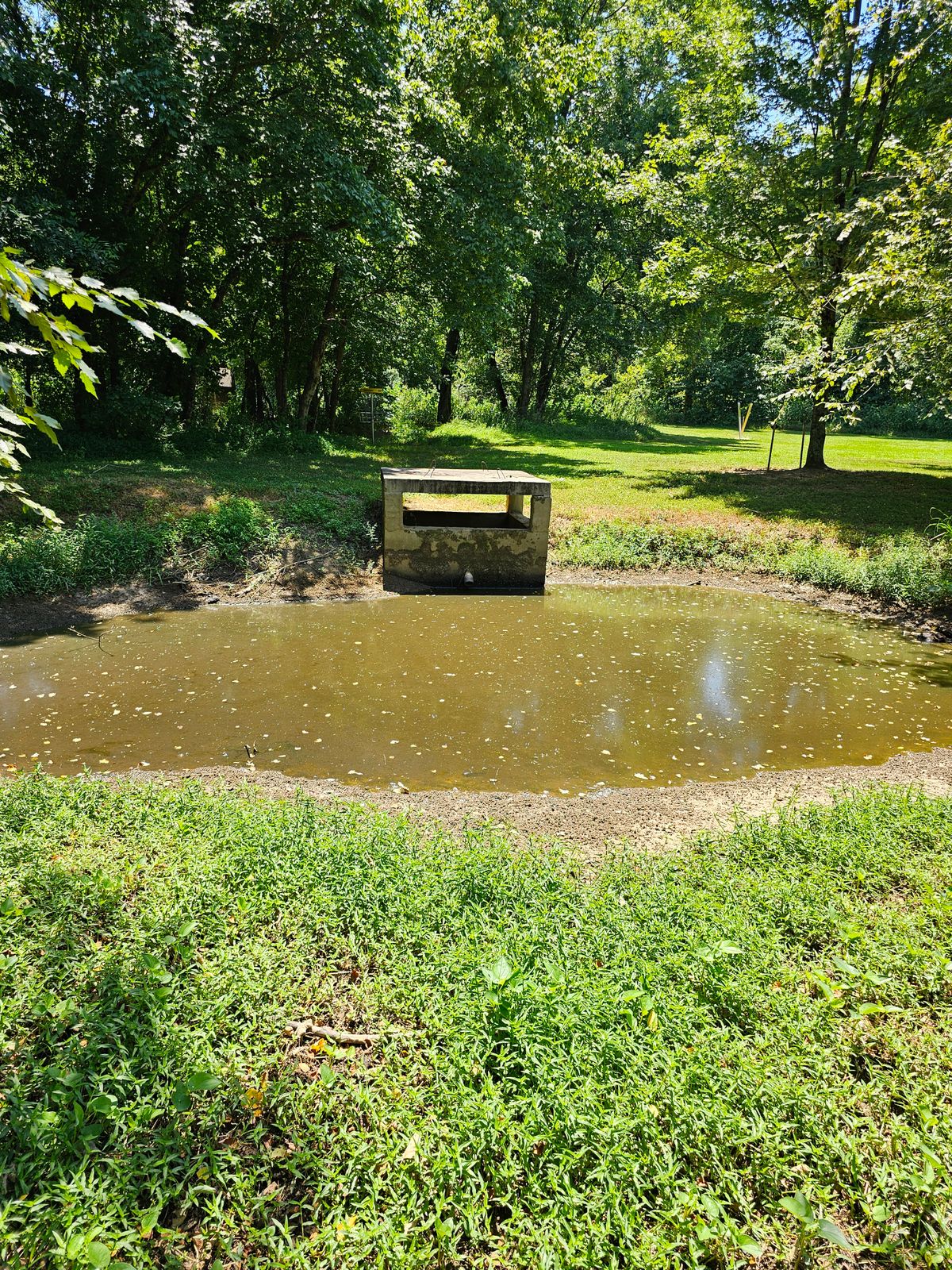 Hole 4's fairway