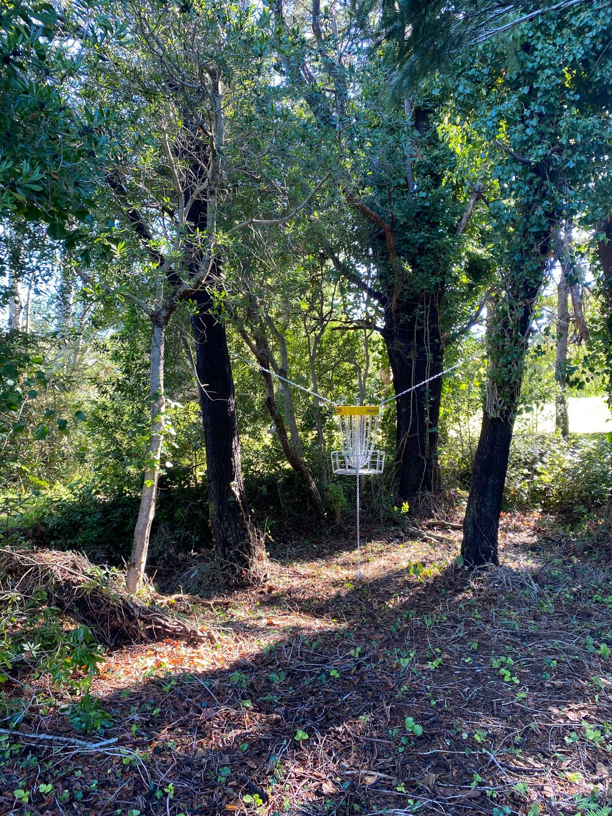 Hanging basket Hole 5