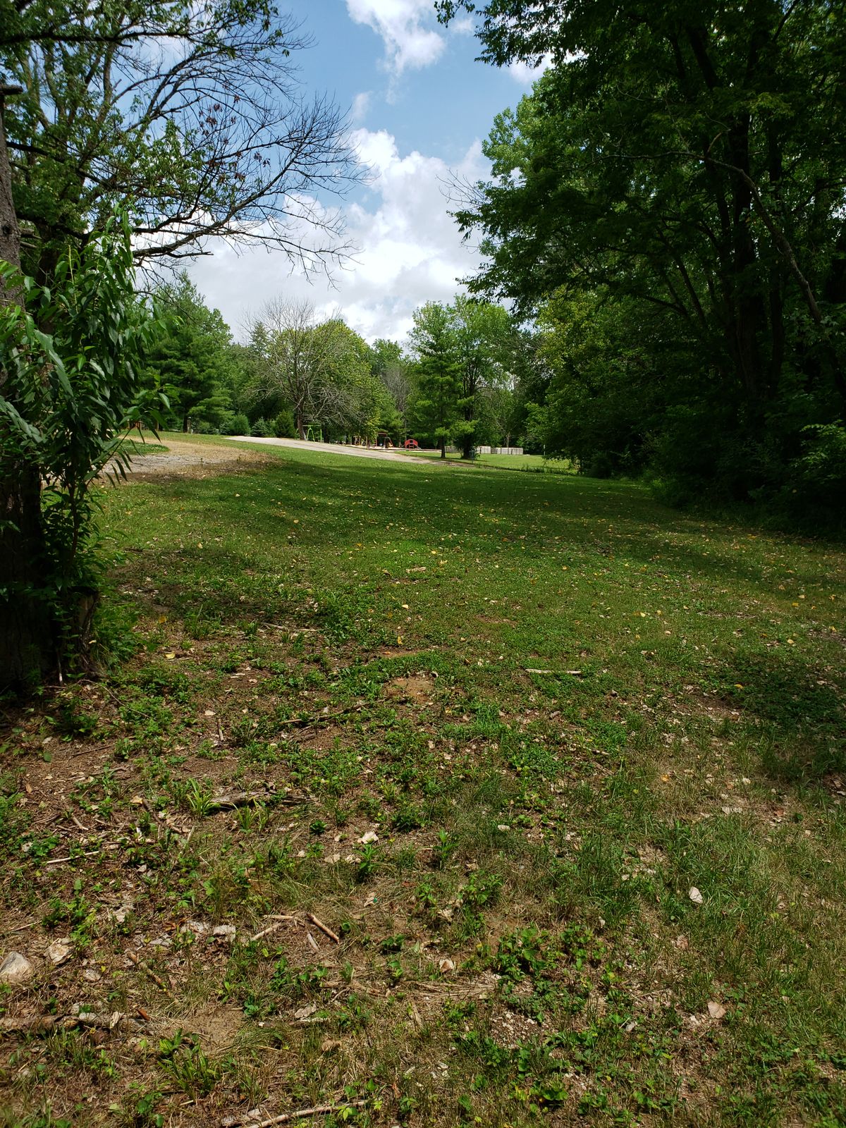 #3 Fairway showing Basket near playground.