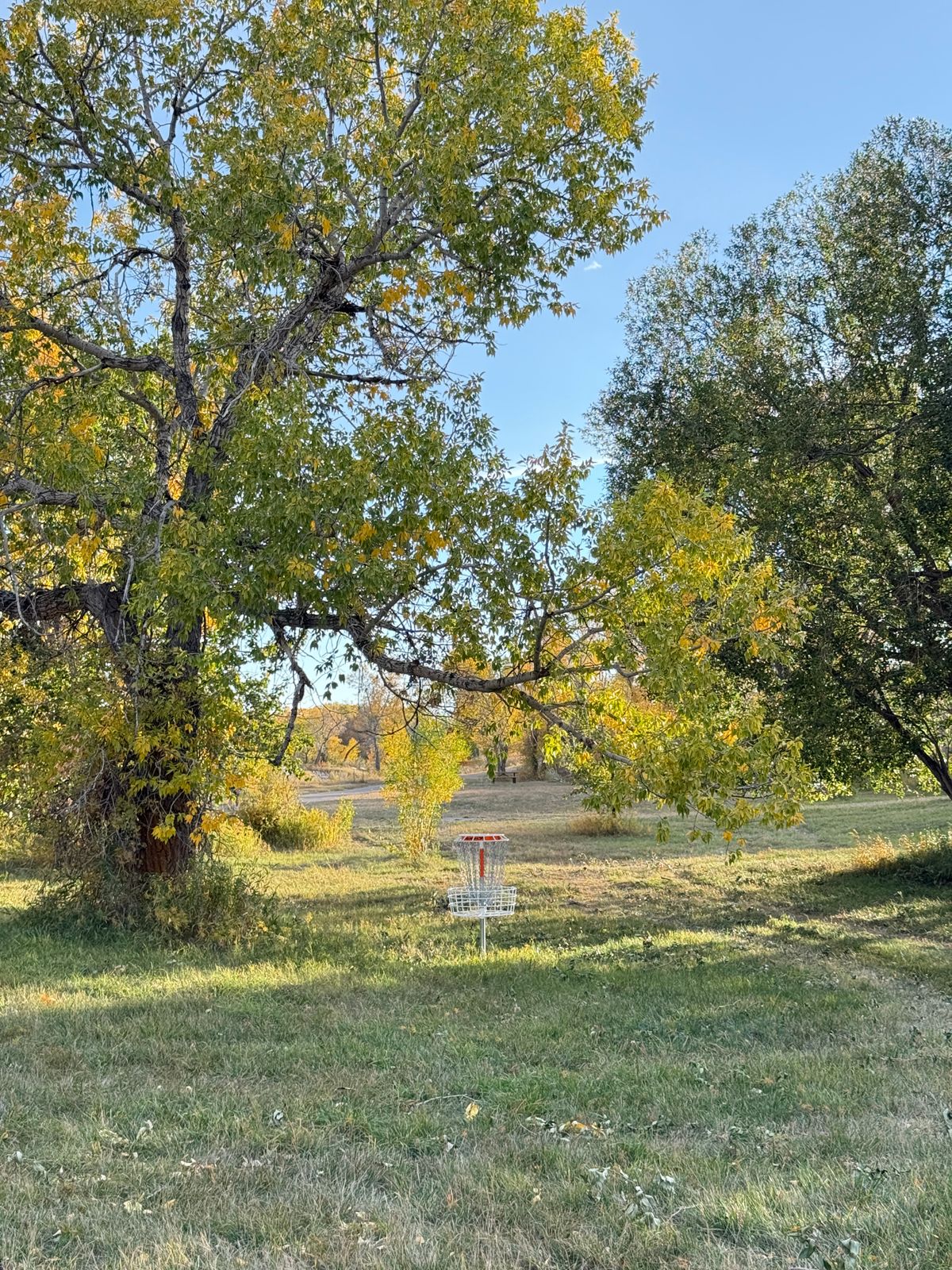 Hole 4 basket
