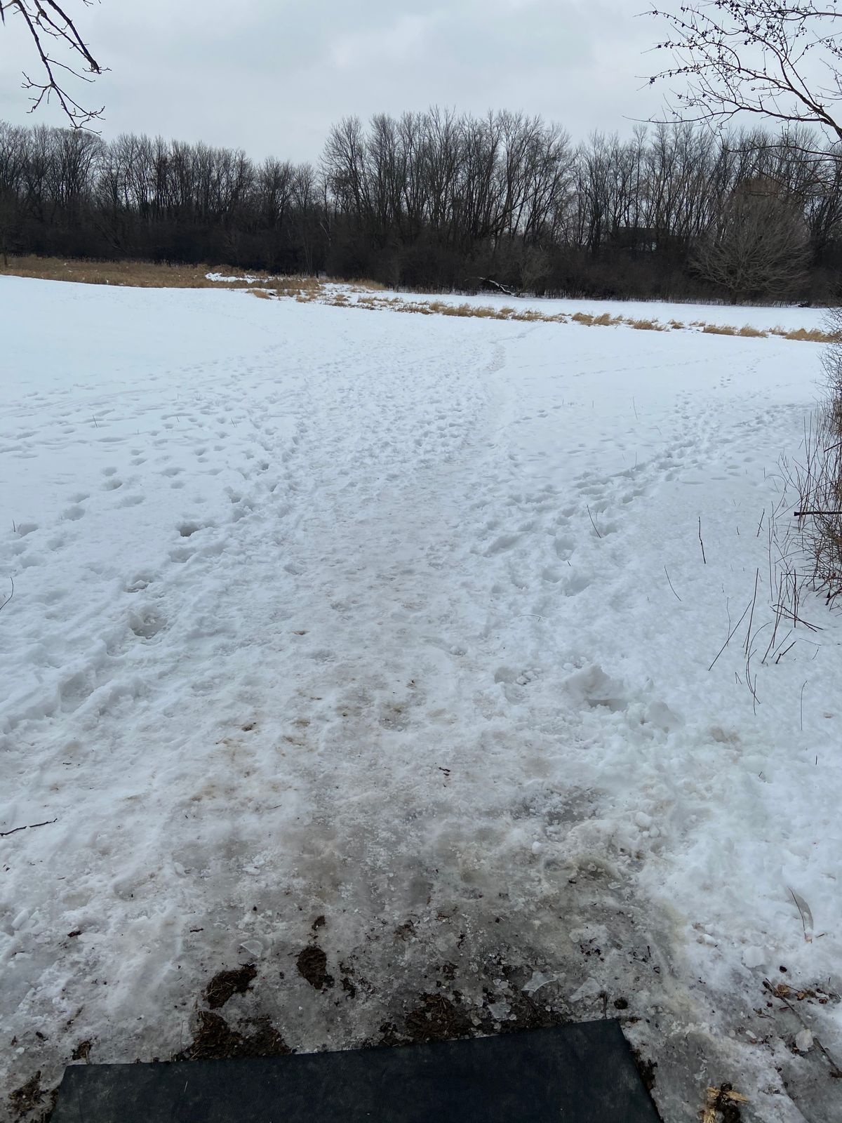 Hole 9, over the creek