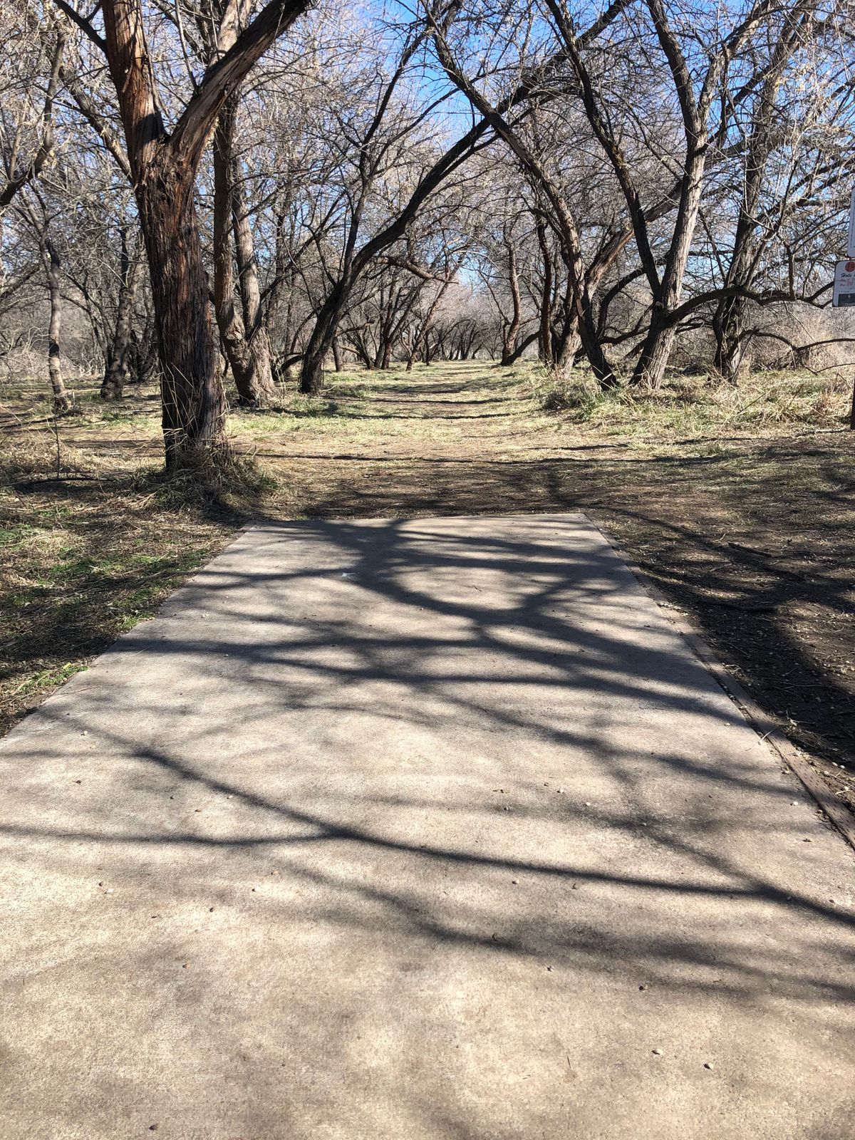 Tee Pad #18
