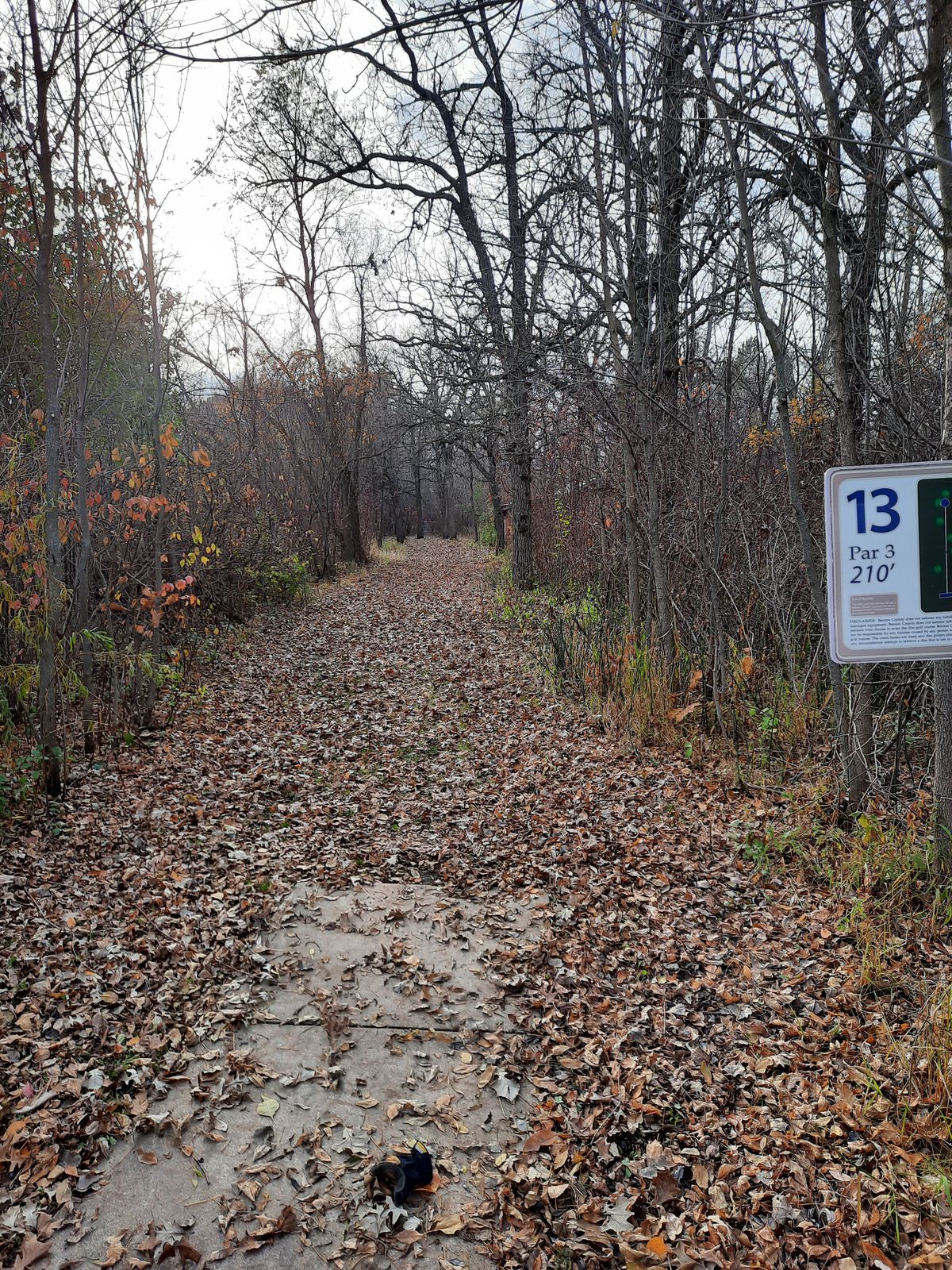 Hole 13 tee