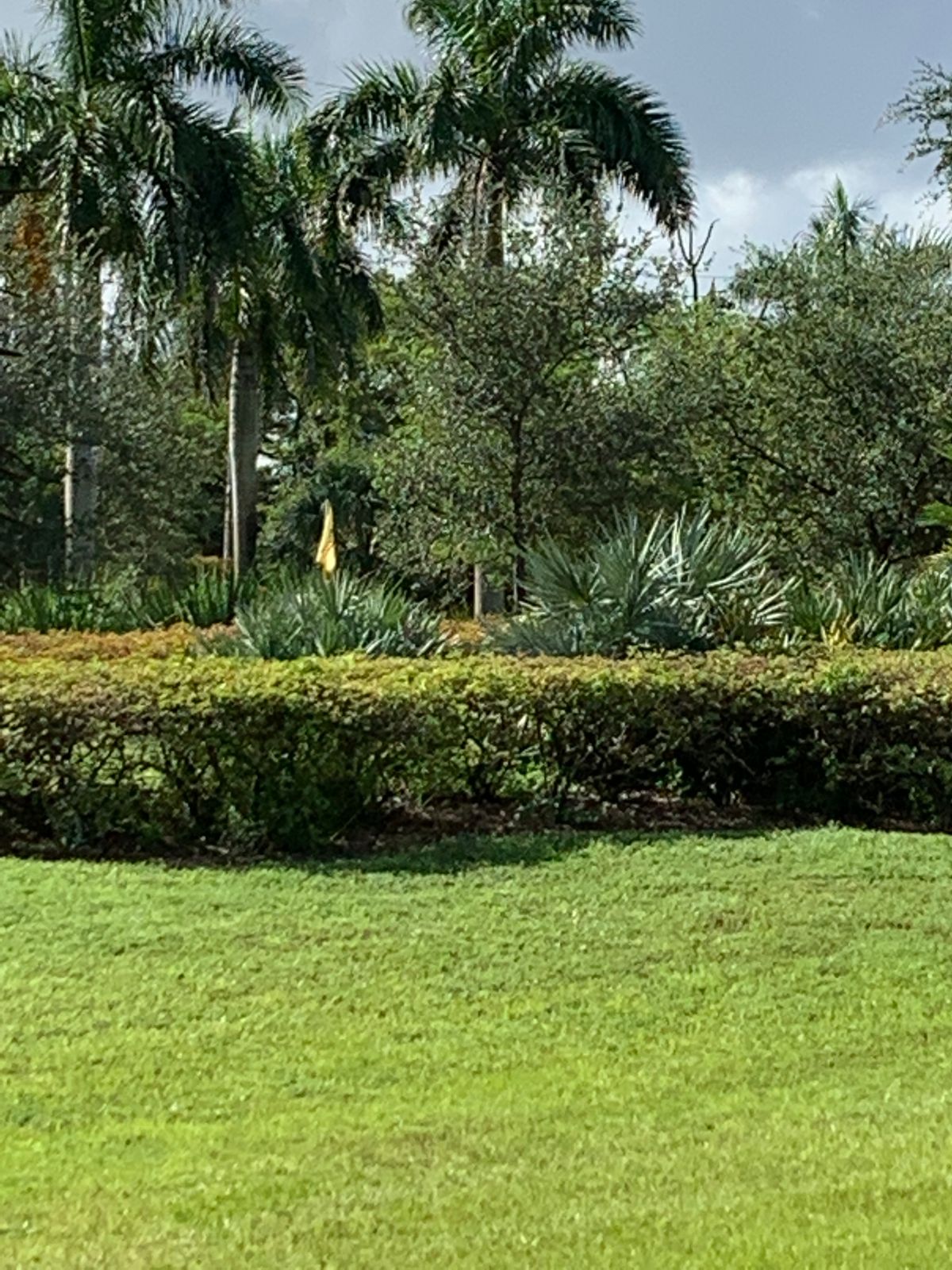 View of 5 basket from 3 tee box.  3 basket cannot be seen from 3 tee pad.  Look down past the trees.