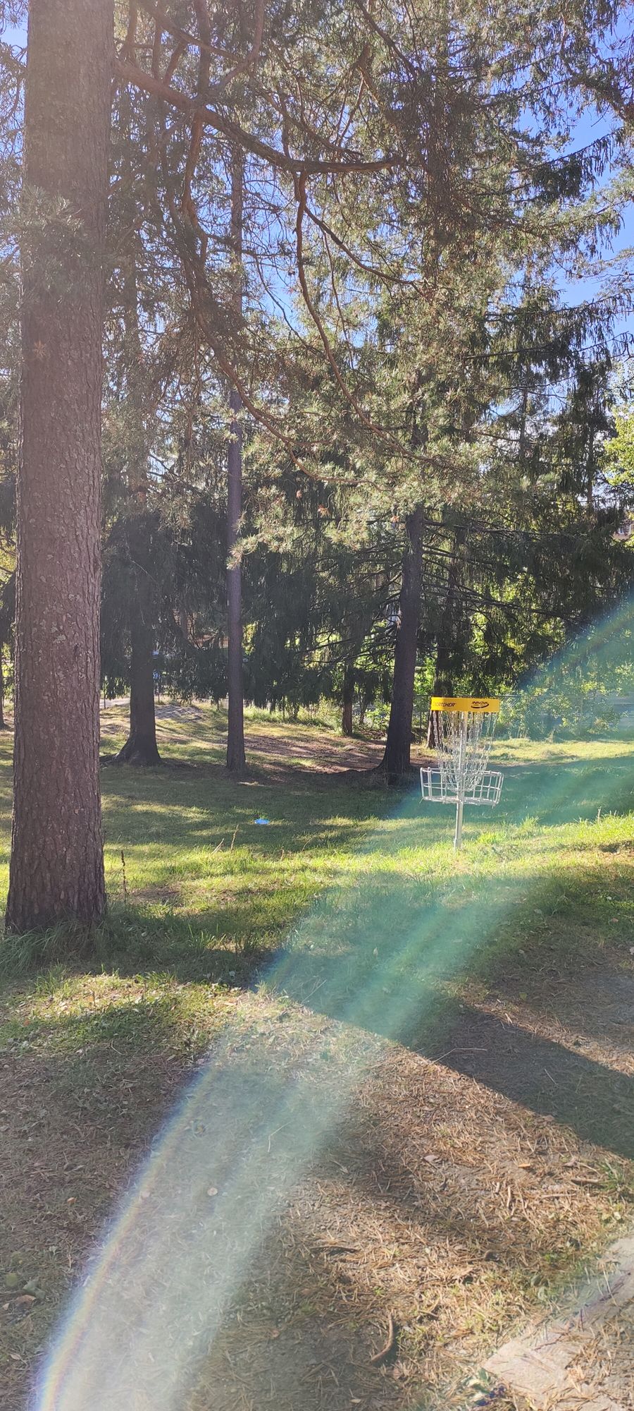 Basket hole 5, runaway hill. Decent hole.