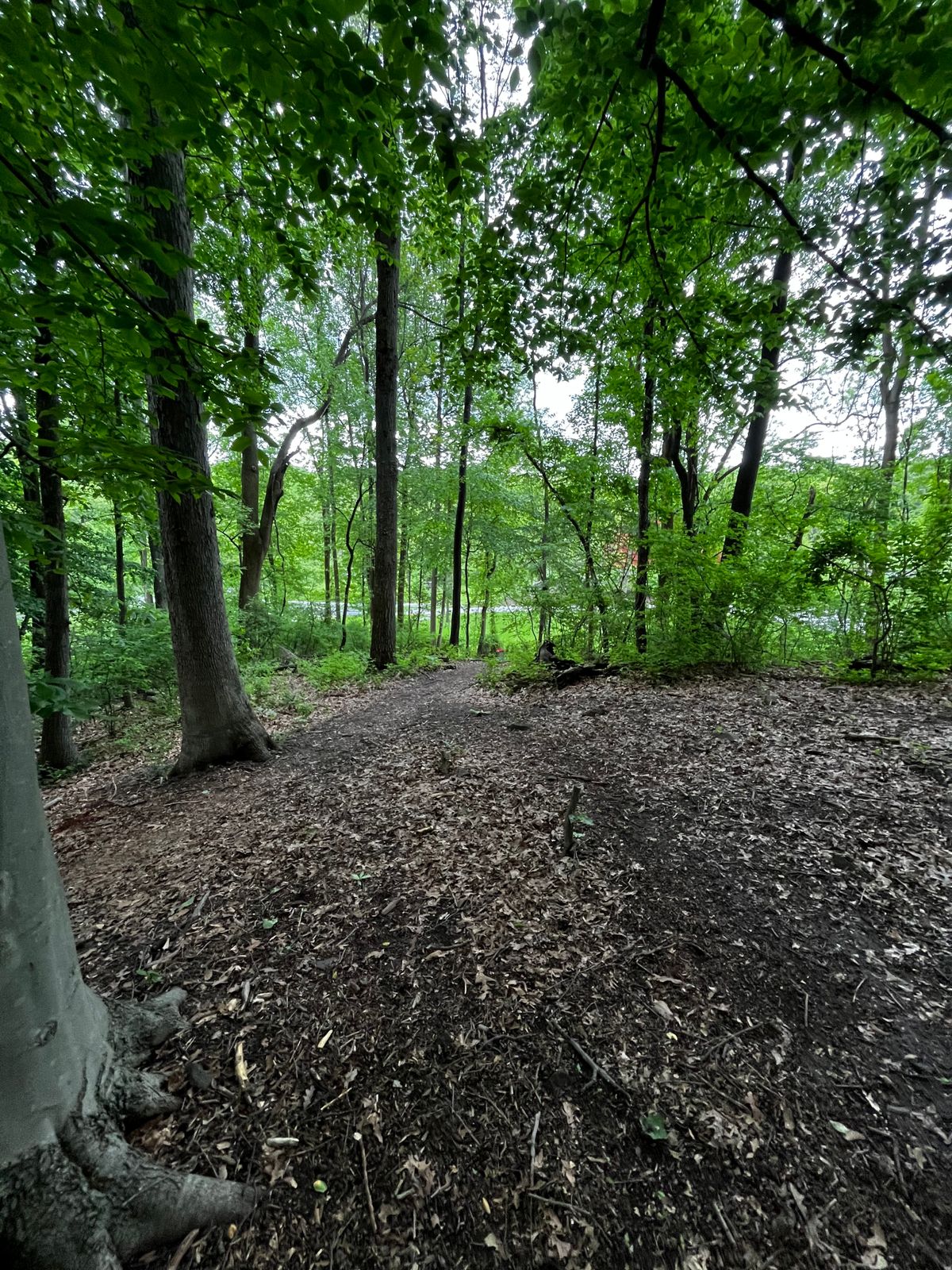 Hole 18 red fairway to green