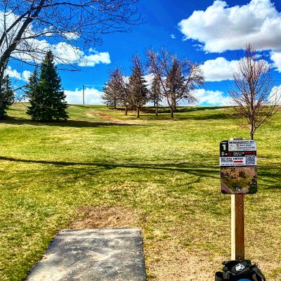 Hole 1 tee pad. The basket is up in those trees.