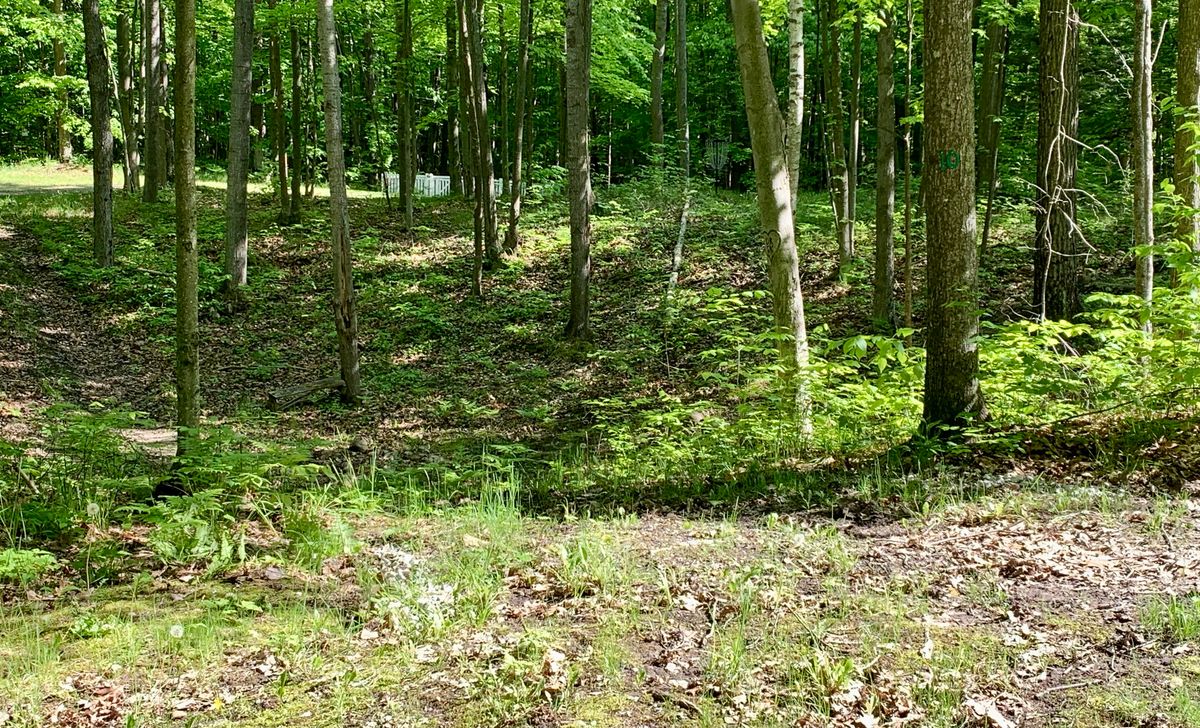 Hole 10