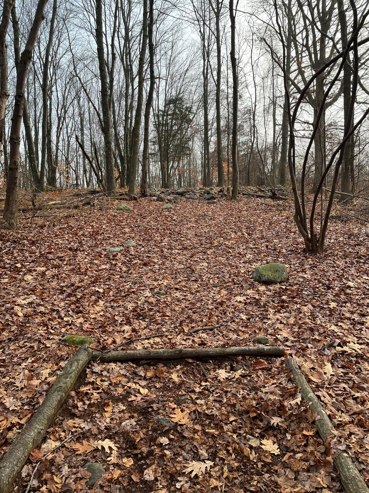 Hole 3
