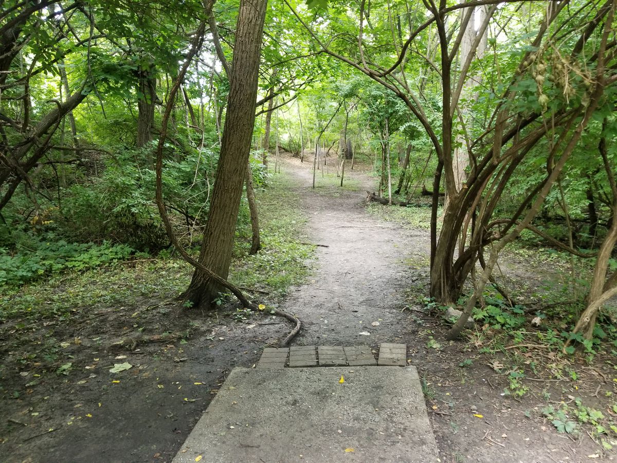 Hole 15B from tee