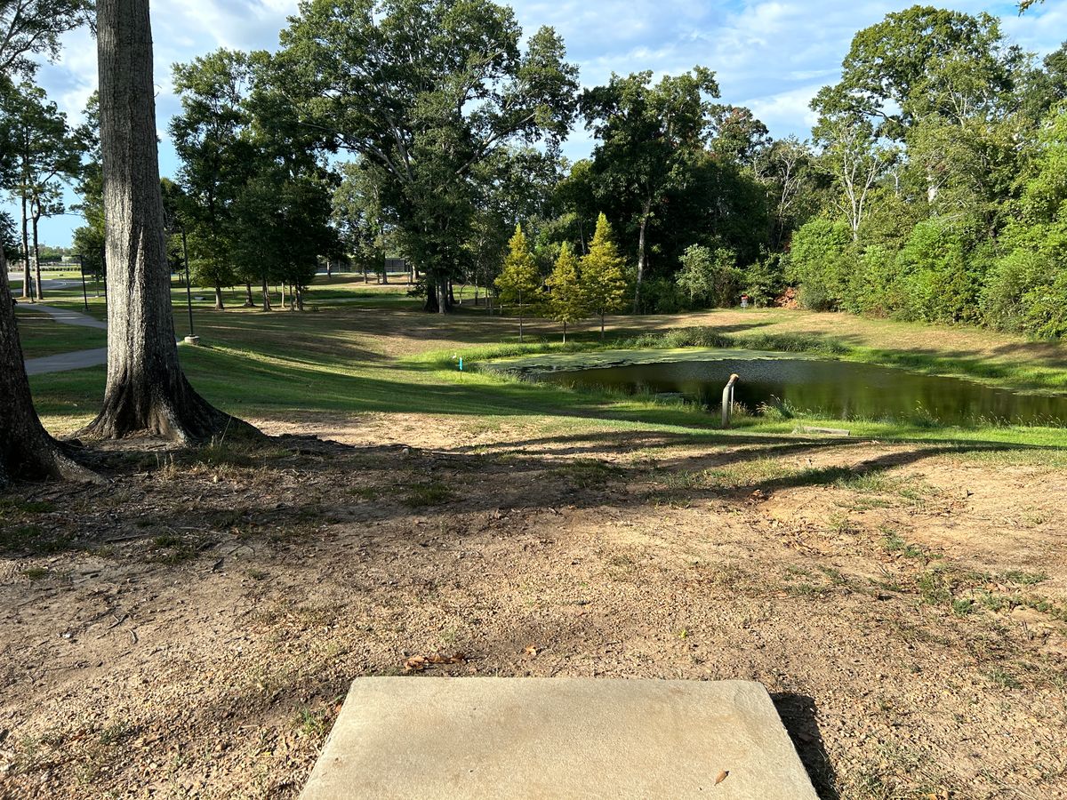 Hole 2 Fairway (Red)