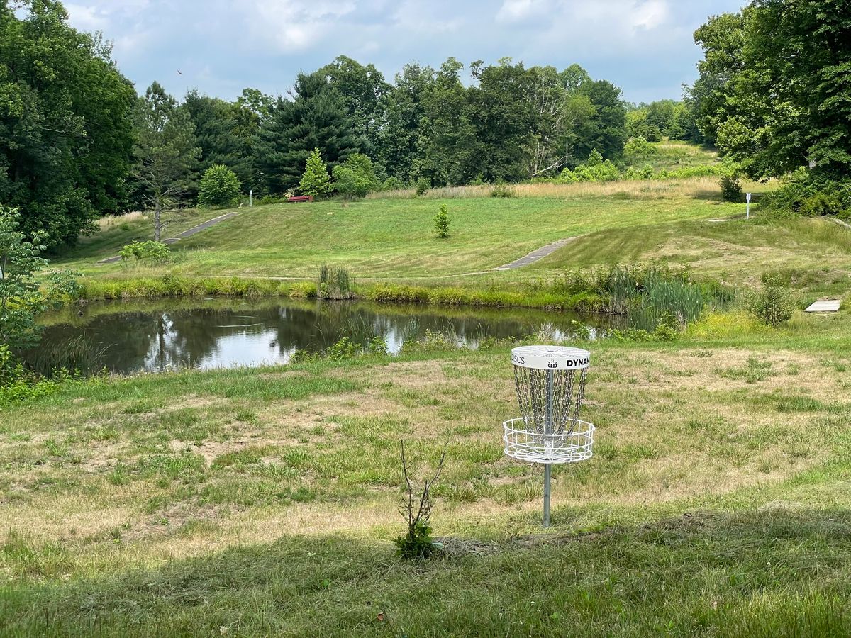 Behind basket looking back at tees