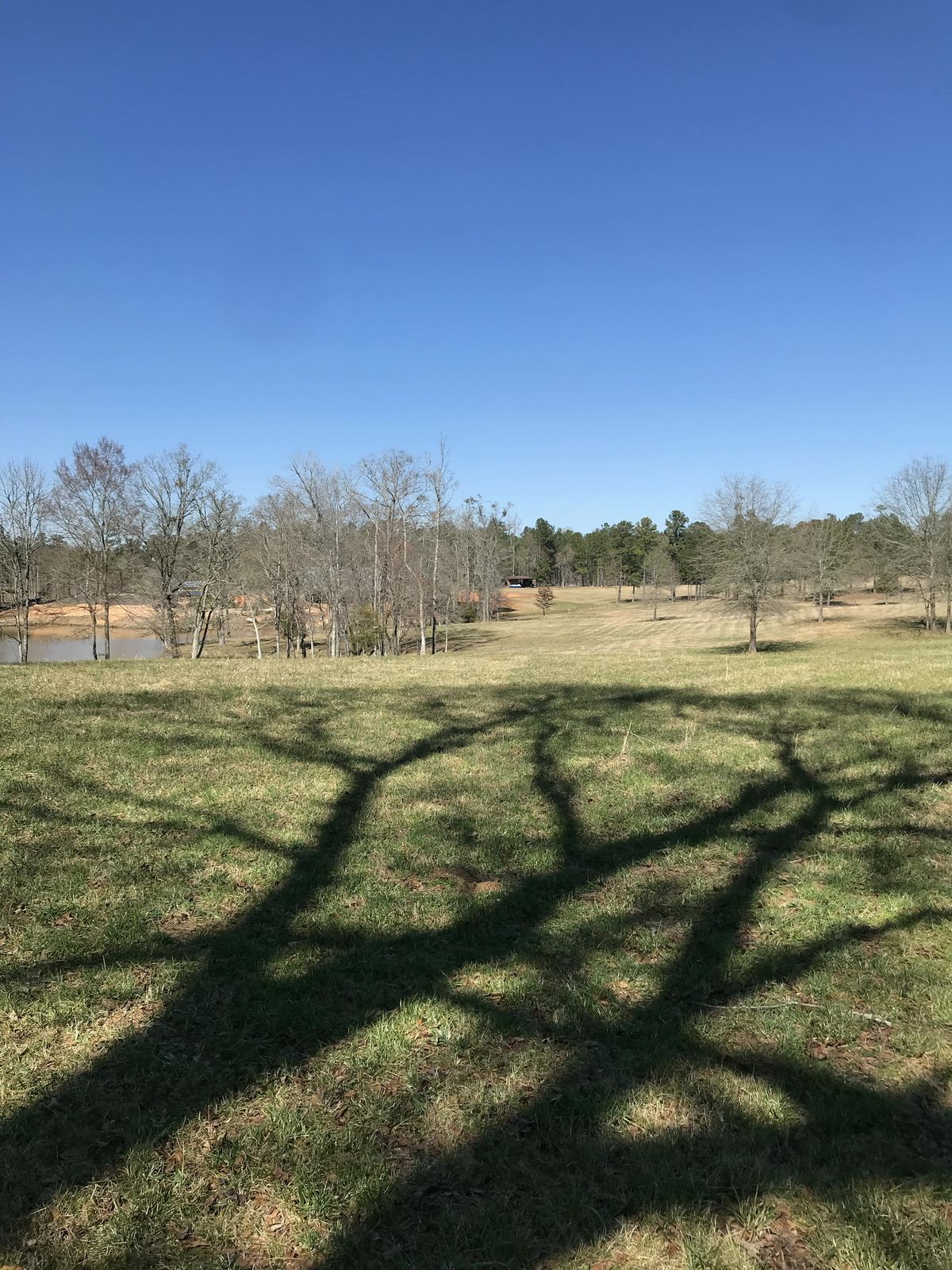 Hole 13 - tee to basket