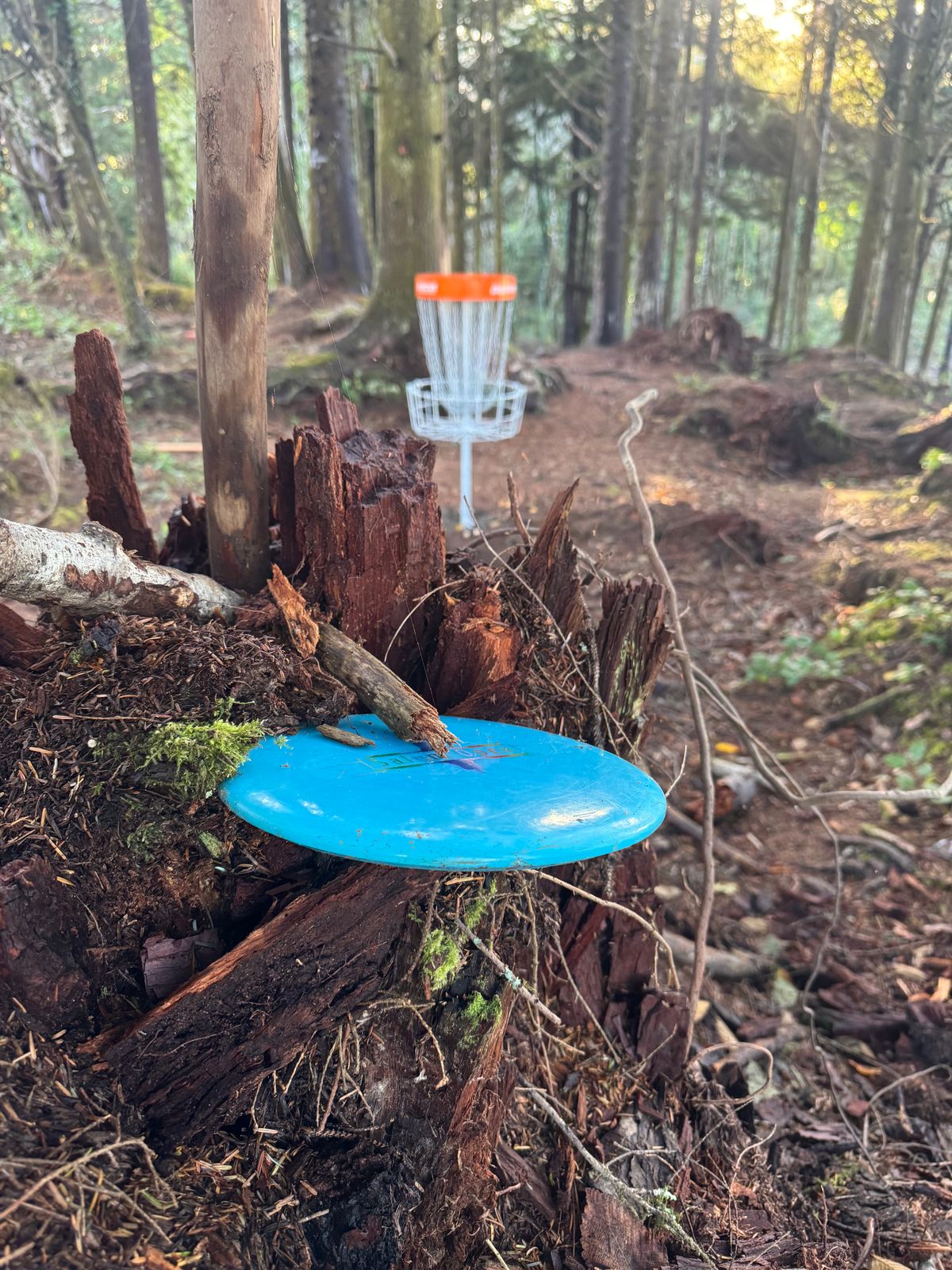 Stumps