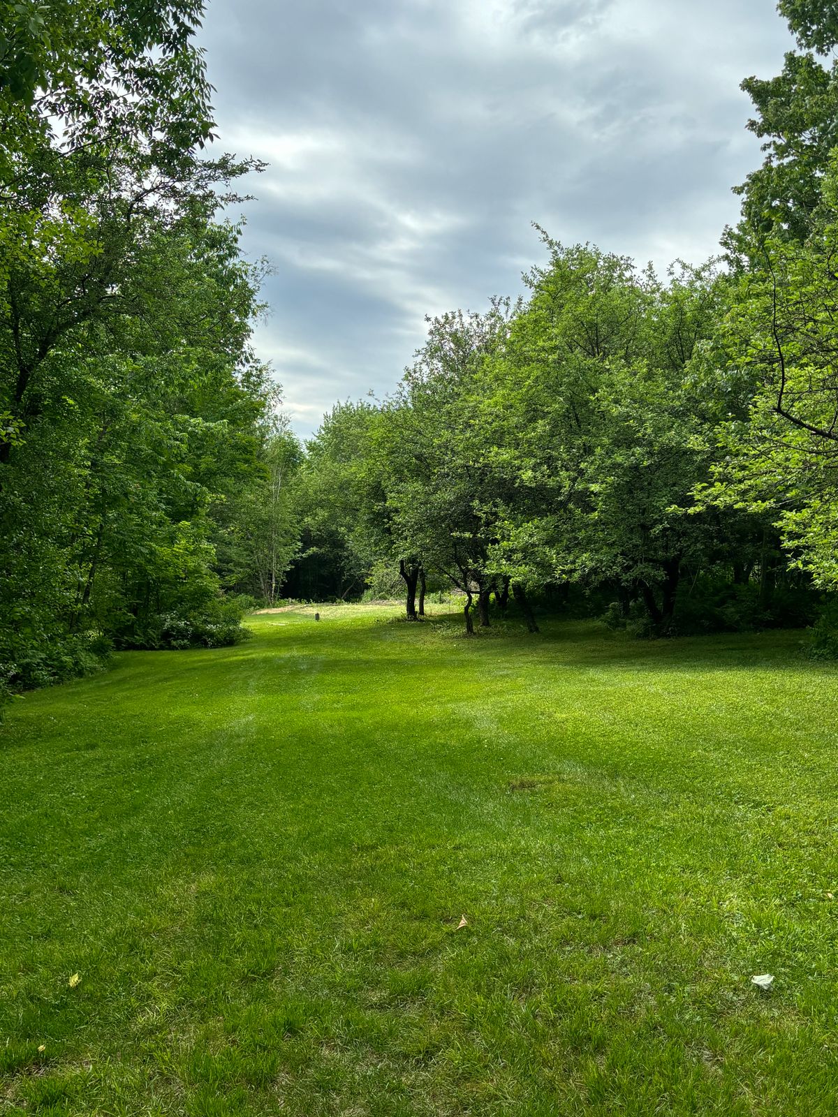 Hole 16 fairway