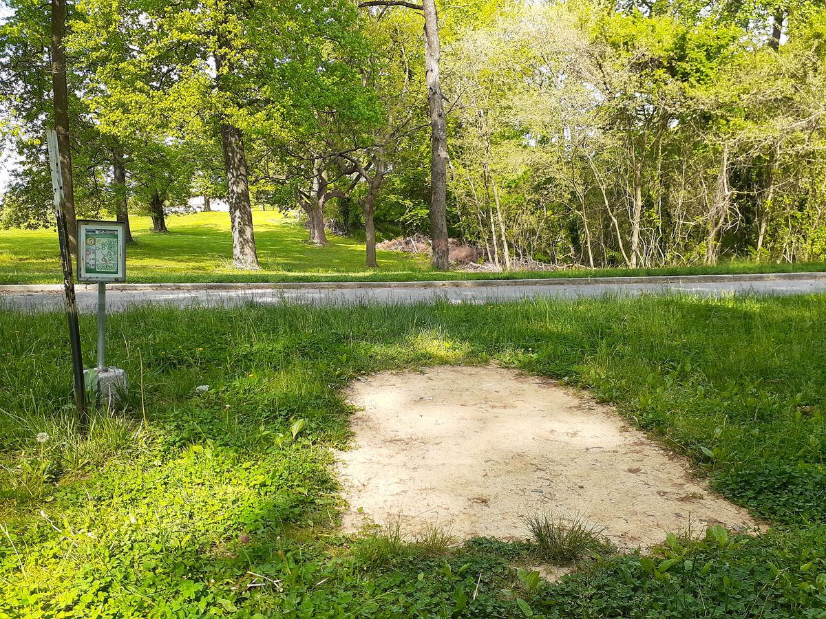 Hole 5 Tee