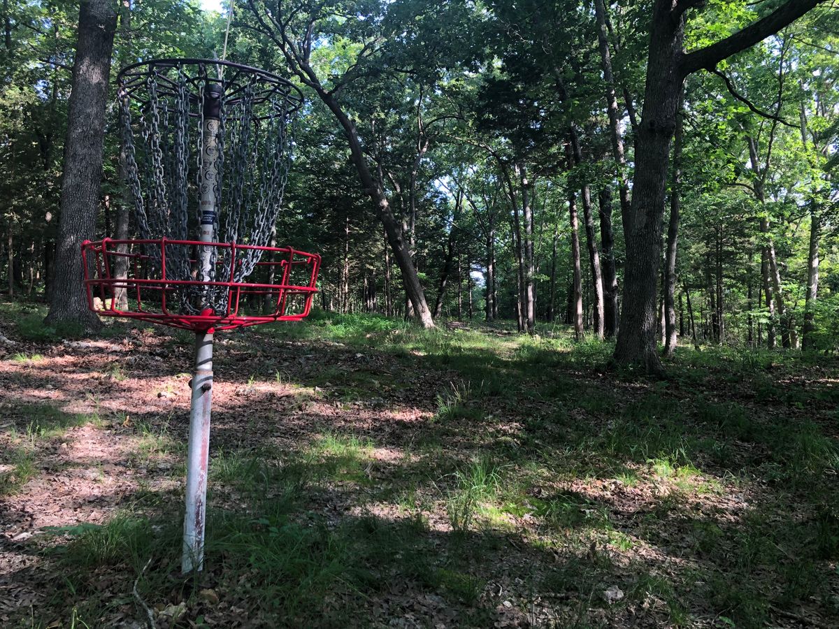 16 looking at the Tee