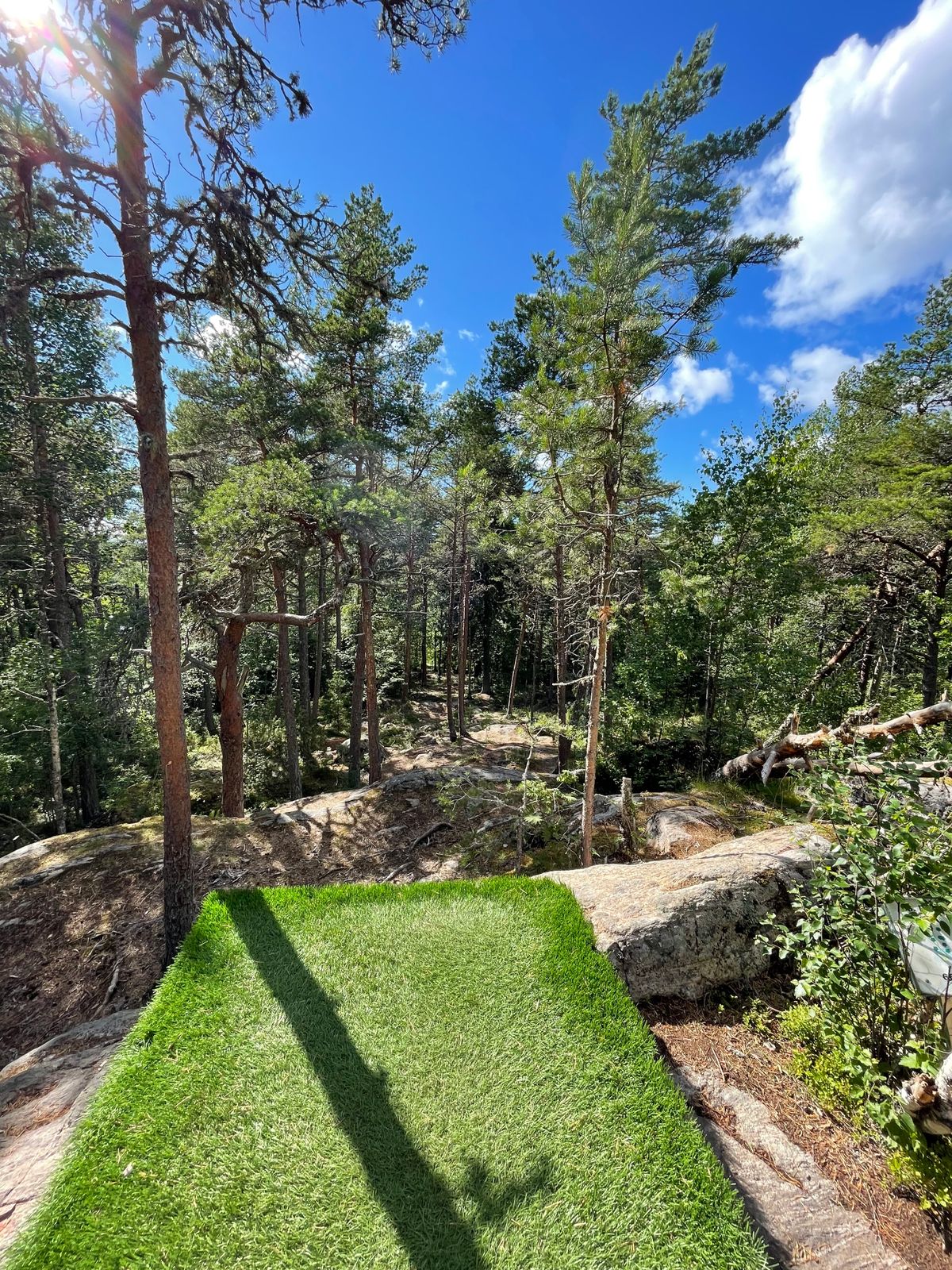Fint utkast från en höjd bland berg och tallar ner mot korgen. Smal teknisk par 3a