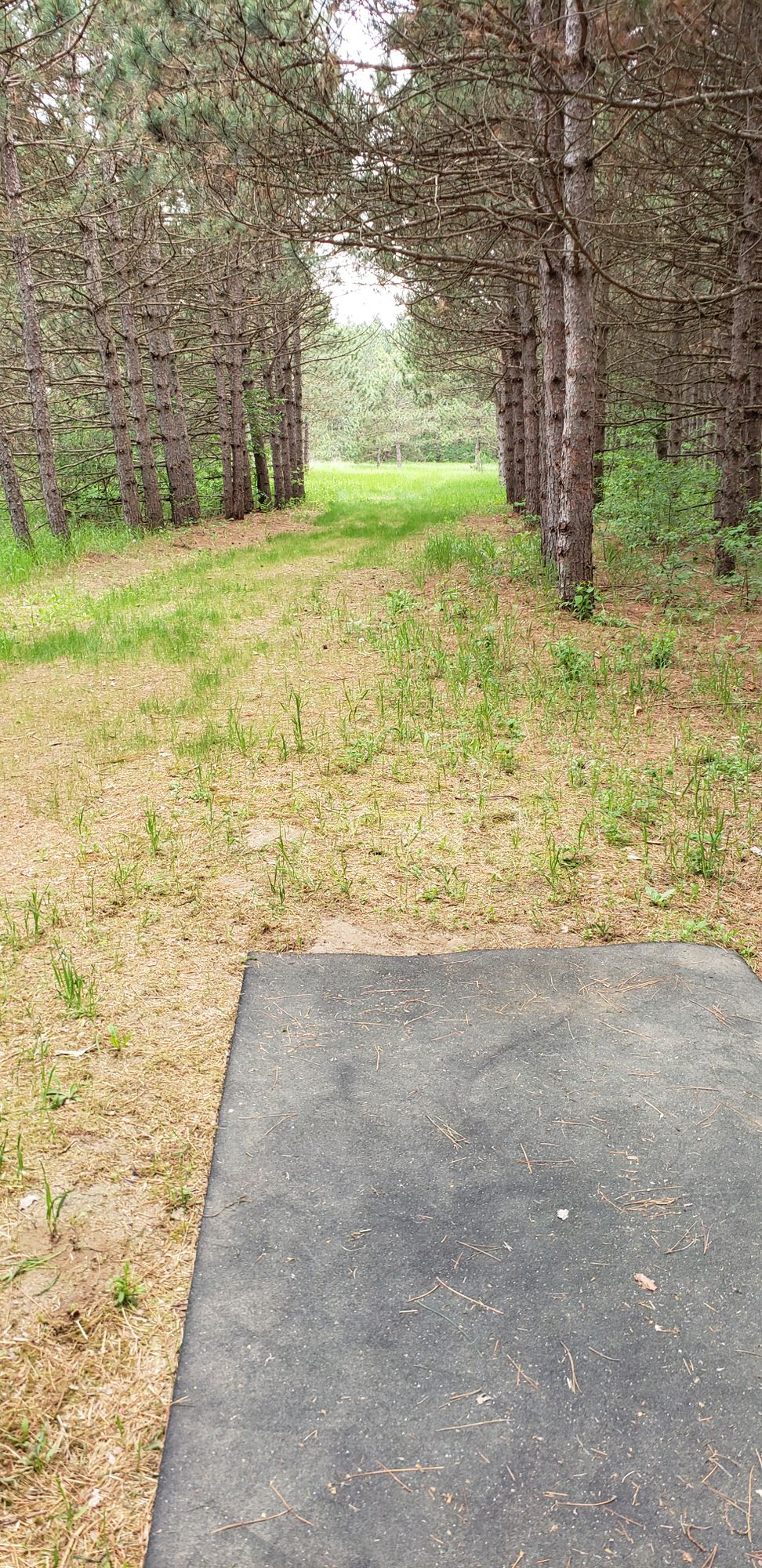 hole 2