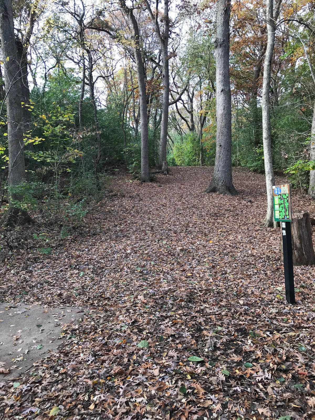 Hole 1