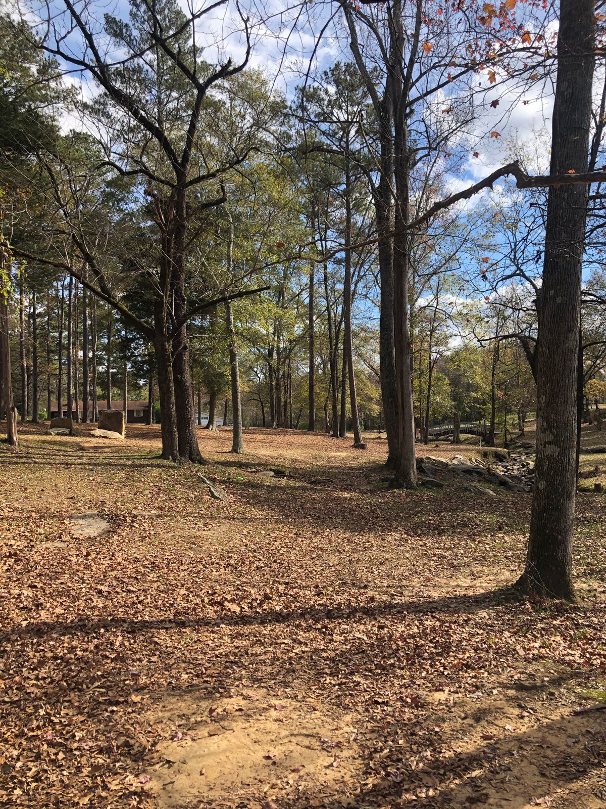 Hole 12