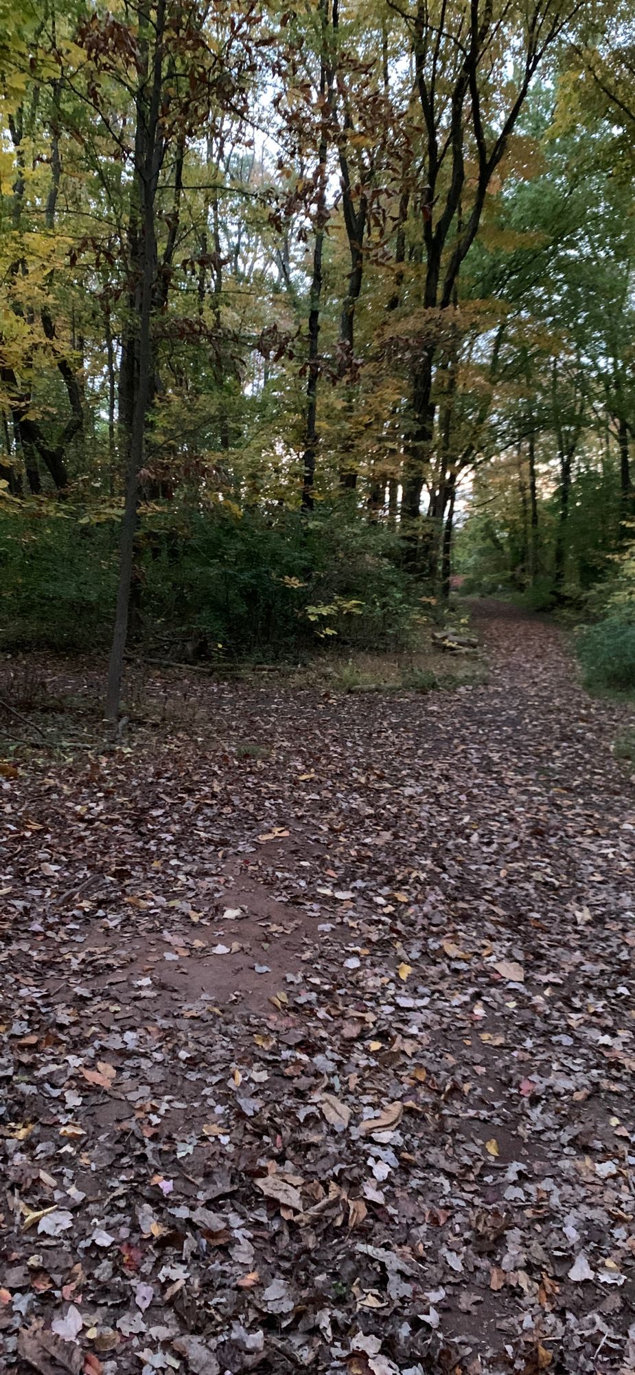 Hole 7 - Down the trail.