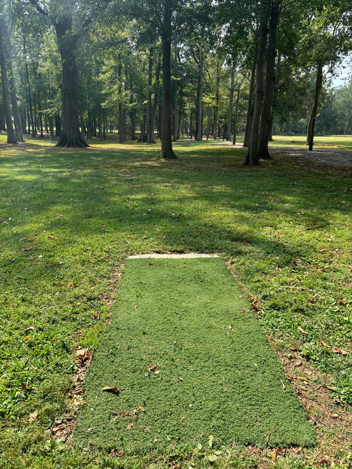 Hole 2 teepad