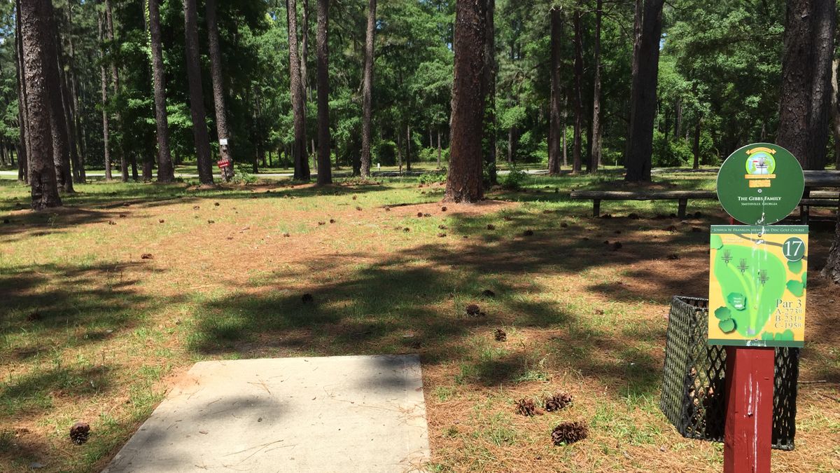 Hole 17