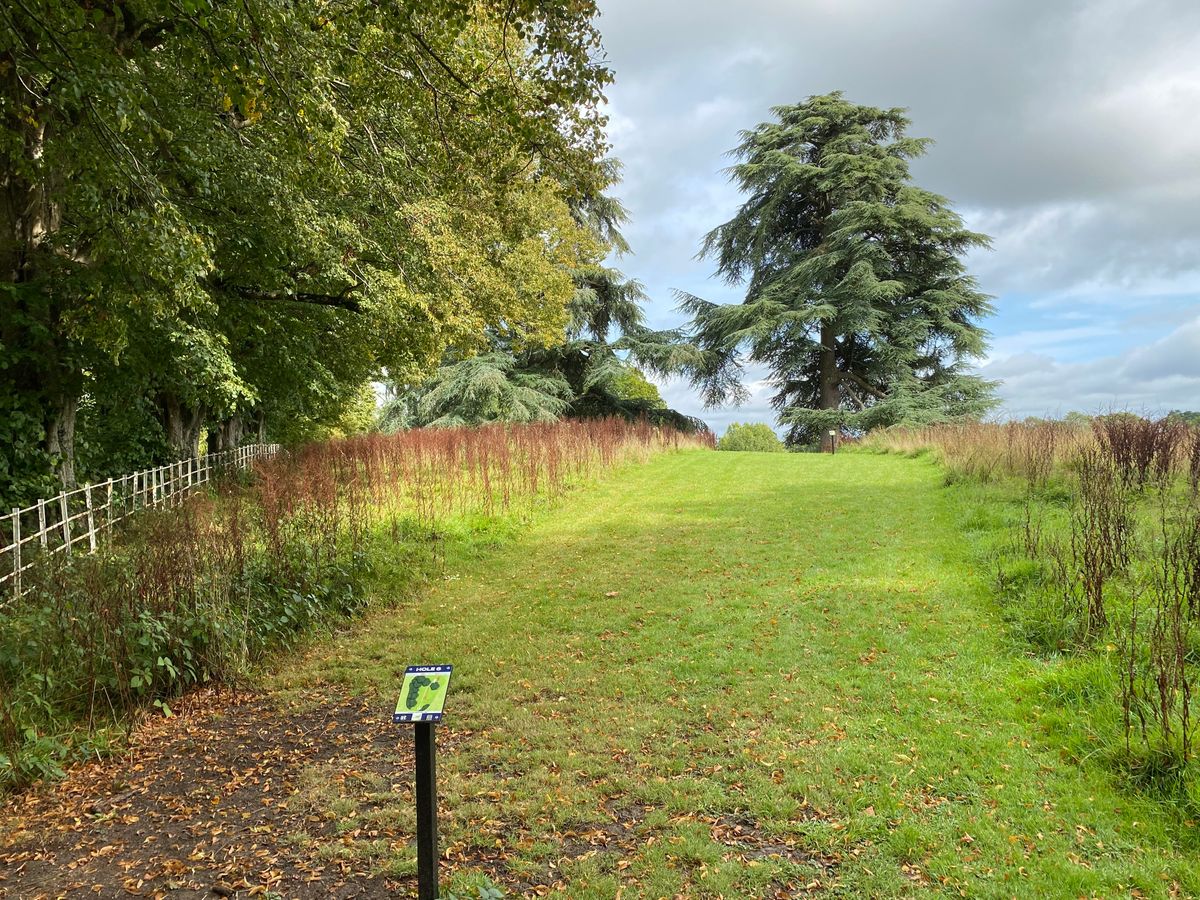 Hole six long tee