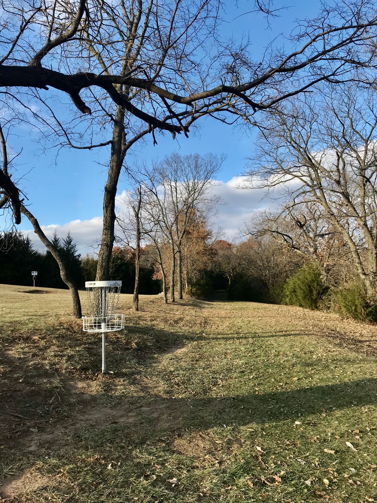 Hole 6 Basket to Tee (Short)