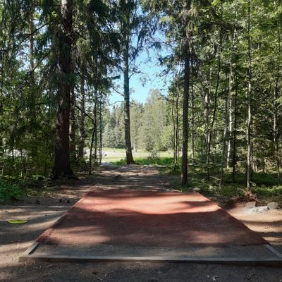 Väylä 7 tee