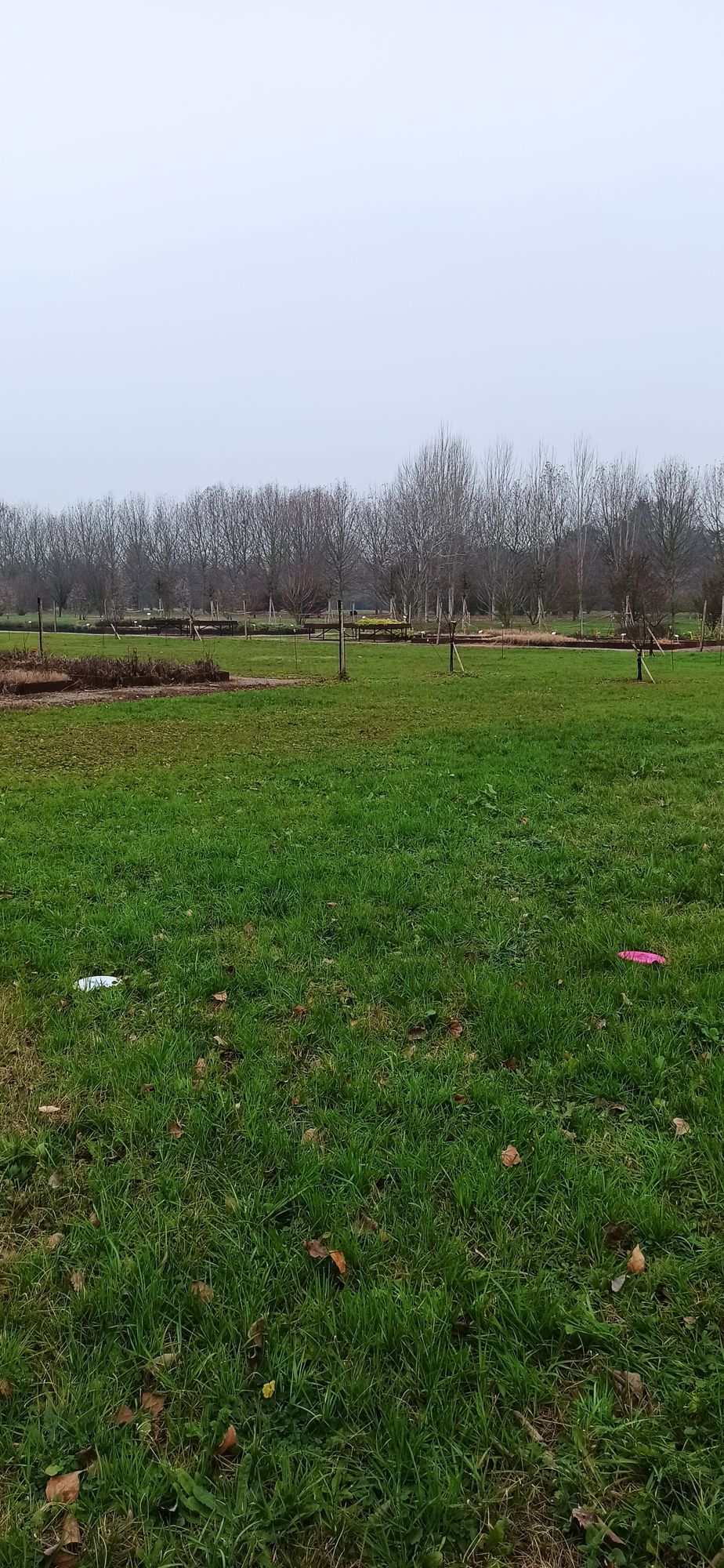 Hole 3 tee spot
