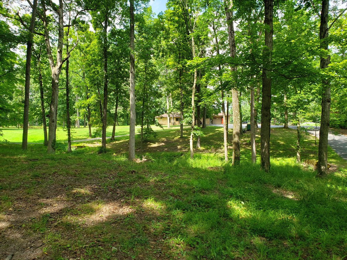 #1 Amateur Tee view over toward #1 Pro Tee Box.