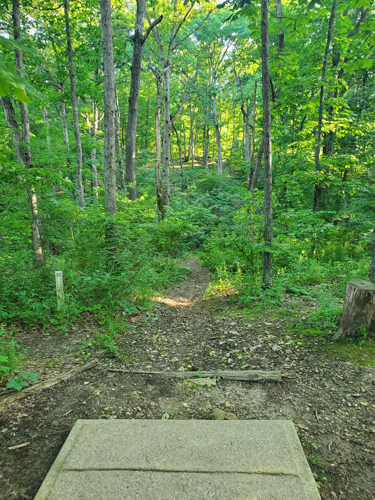 Hole 10 Short Tee Pad