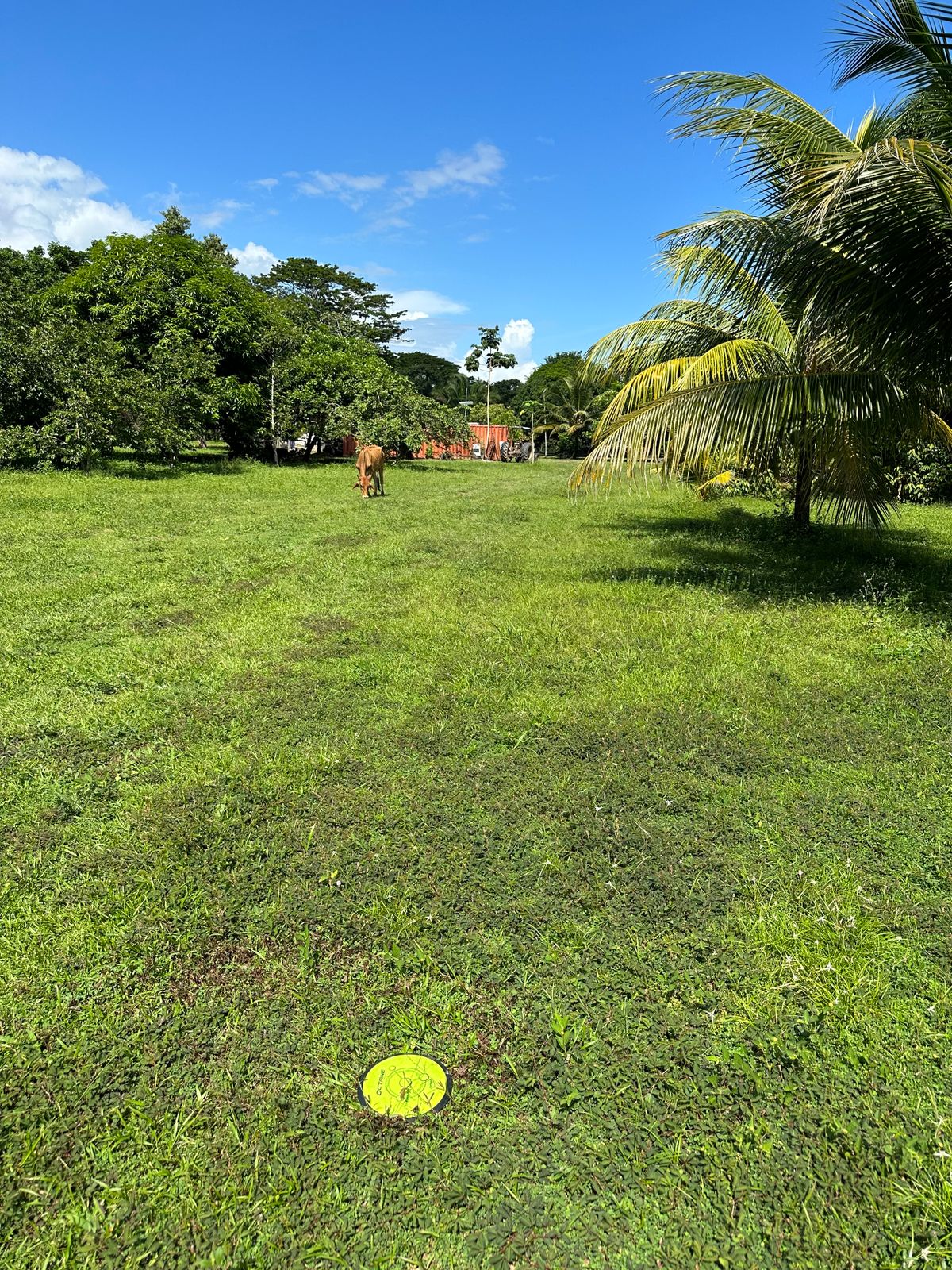 Course photo