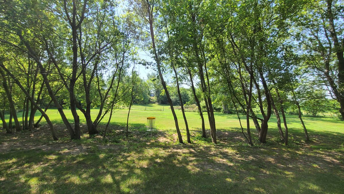 Looking back at hole 4 basket. Pad straight up the hill.