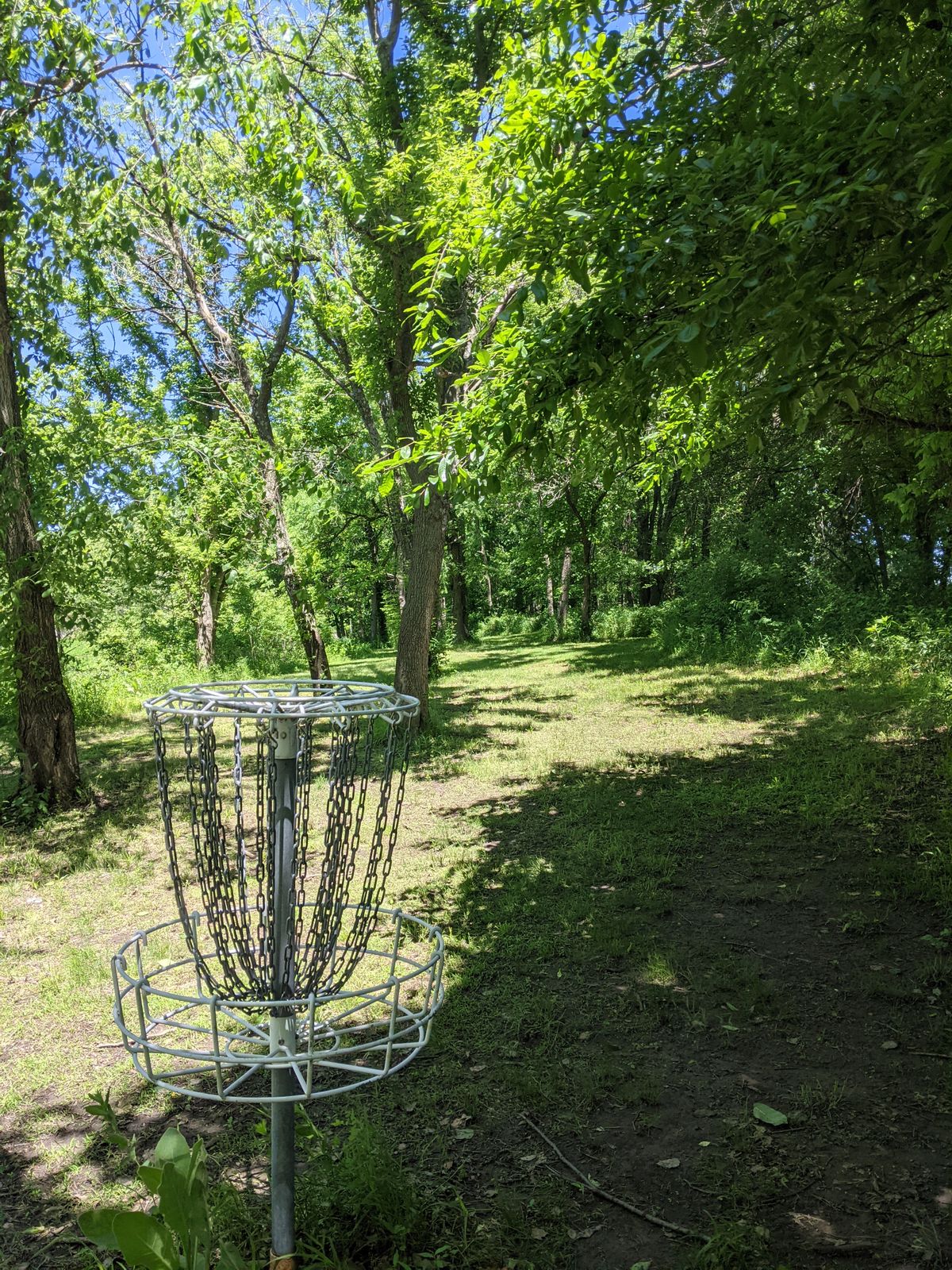 Basket 15 to tee view