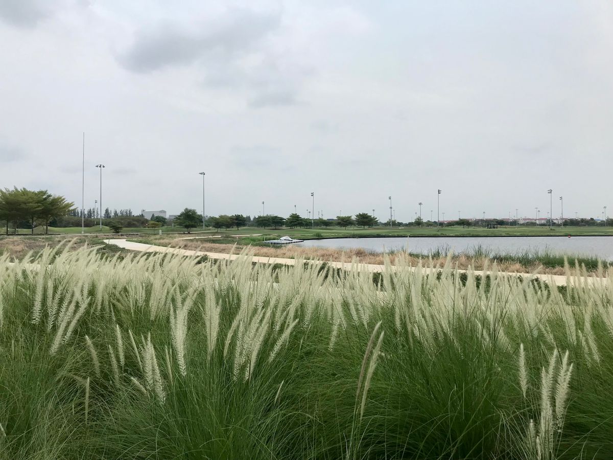 View from clubhouse