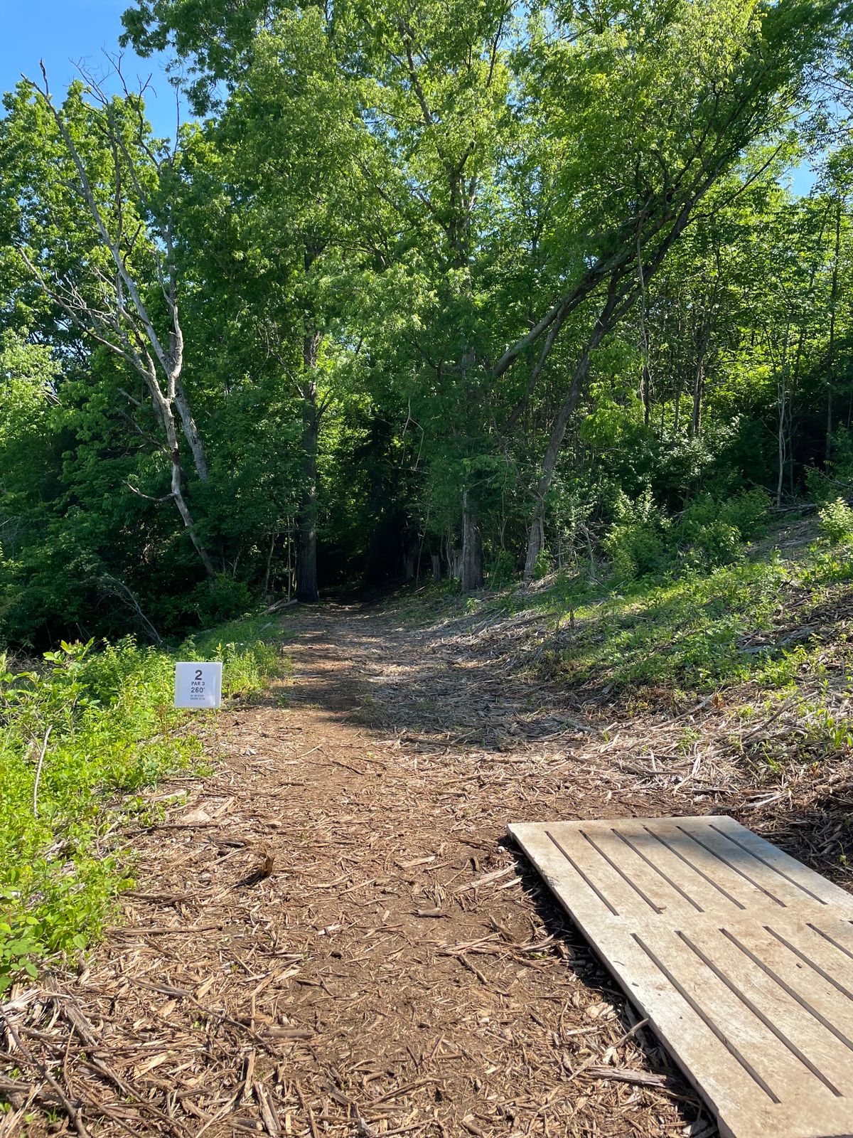 Was to be a completely wooded line, after electric line clearing of trees, it became a gap to hit.